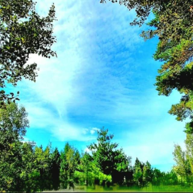 messenger_creation_e5e1291c-7d14-45c1-86ce-d1ef8aa3e497.jpeg