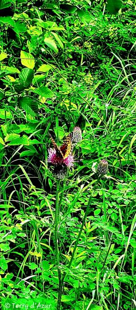20260912_033240.jpg