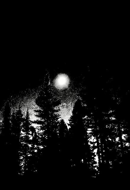 20260924_142018.jpg