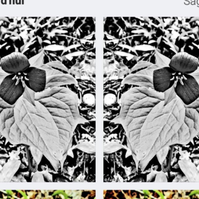 screenshot_20260707-174920_gallery.jpg