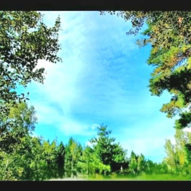 messenger_creation_fb337ebd-7521-4e05-a7d9-2bd881b531a1.jpeg