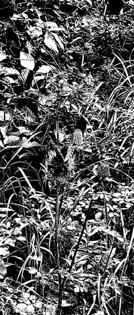 20260913_223349.jpg