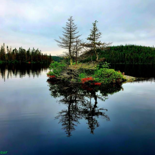 © Terry d'Azur © Terry W. Gravel