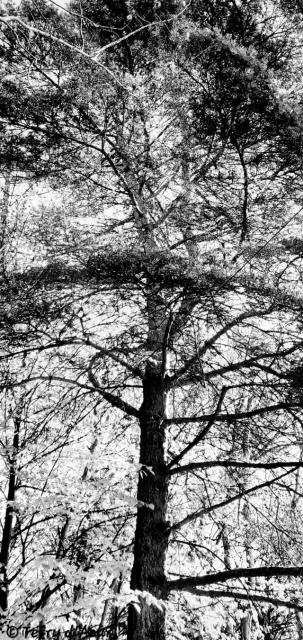 20261005_193938.jpg