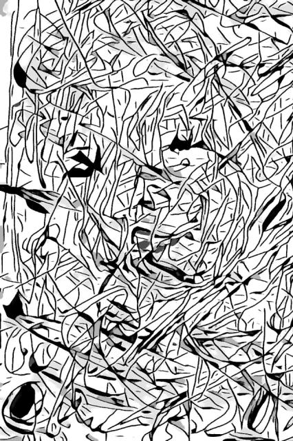 20260421_201645.jpg