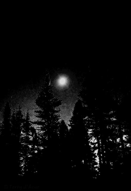 20260924_141924.jpg