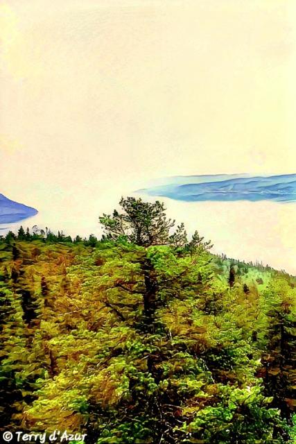 Photo © T. d'Azur © Terry W. Gravel