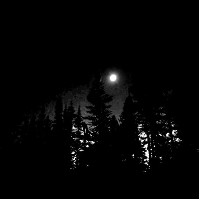 20260924_141508.jpg