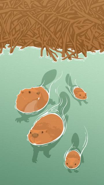 la légende du castor géant - illustration 12