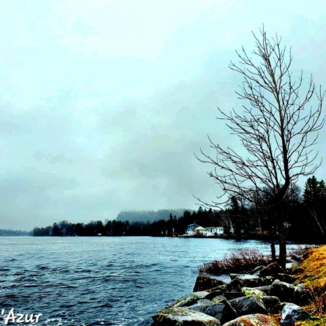 Photo © T. d'Azur © Terry W. Gravel