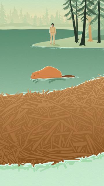 la légende du castor géant - illustration 06
