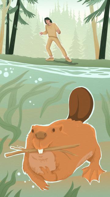 la légende du castor géant - illustration 07