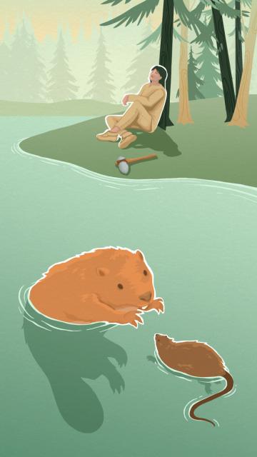 la légende du castor géant - illustration 13