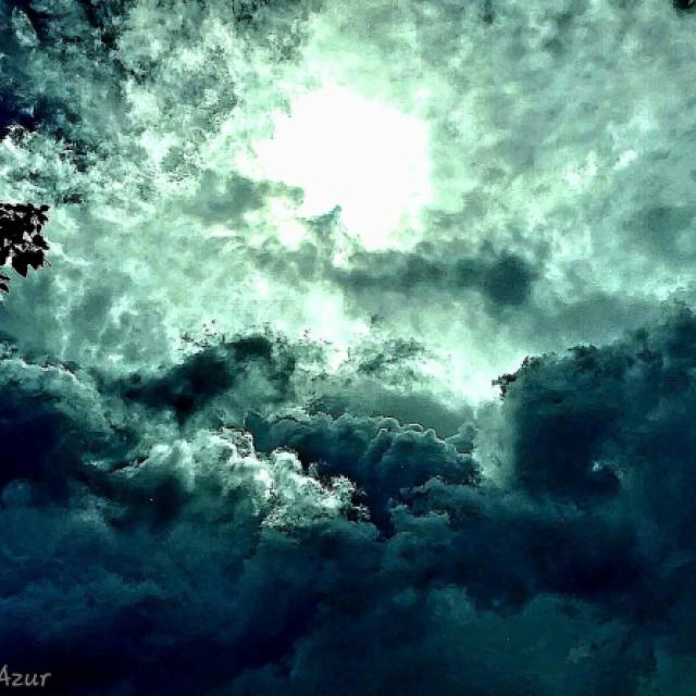© Terry d'Azur © Terry W. Gravel