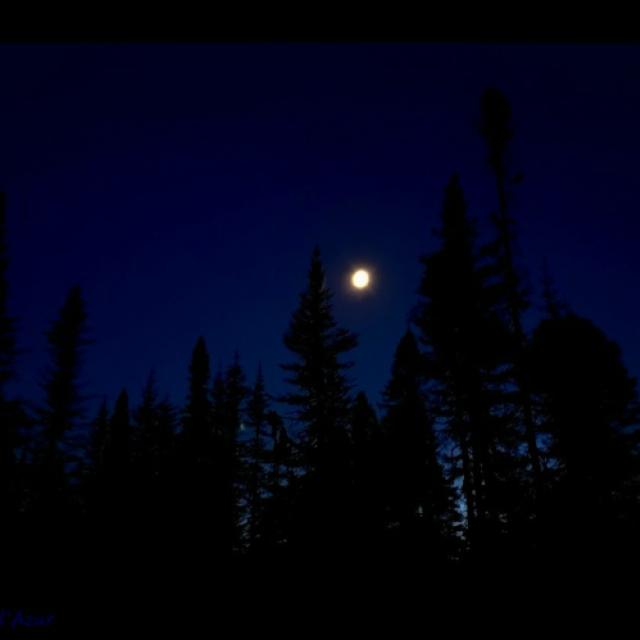 20260921_214514.jpg