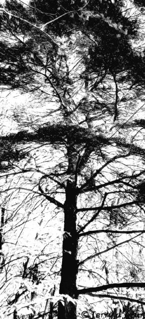 20261005_220734.jpg