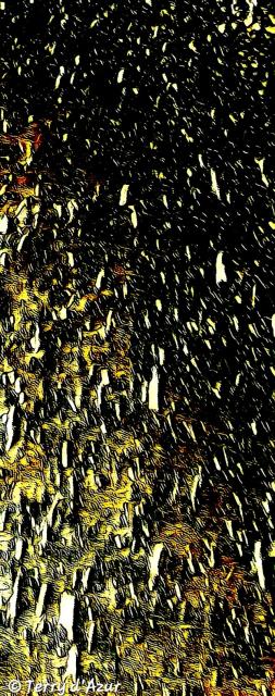 © Terry d'Azur © Terry W. Gravel