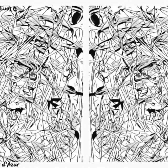 20260419_160724.jpg