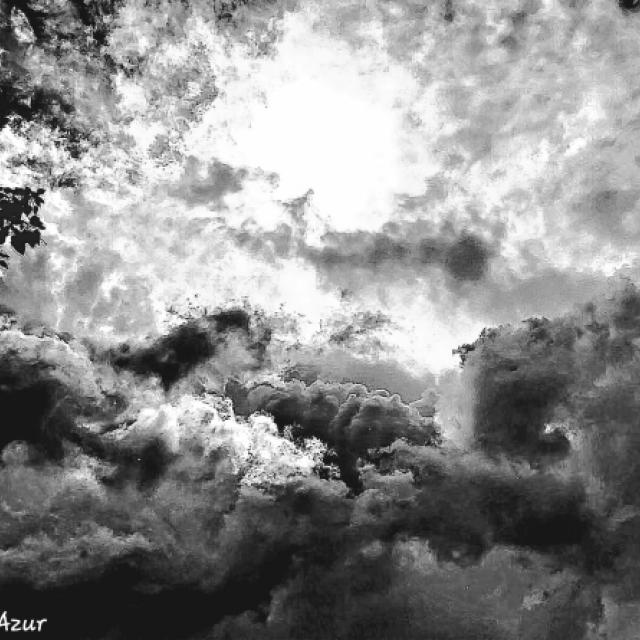© Terry d'Azur © Terry W. Gravel