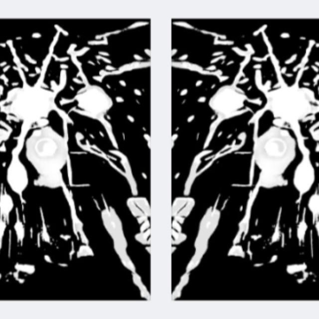 screenshot_20260330-031114_gallery.jpg
