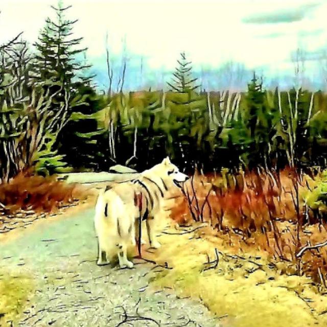 20260329_233237.jpg