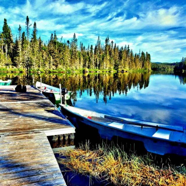 Photo  © T. d'Azur © Terry W. Gravel