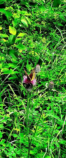 20260912_031613.jpg