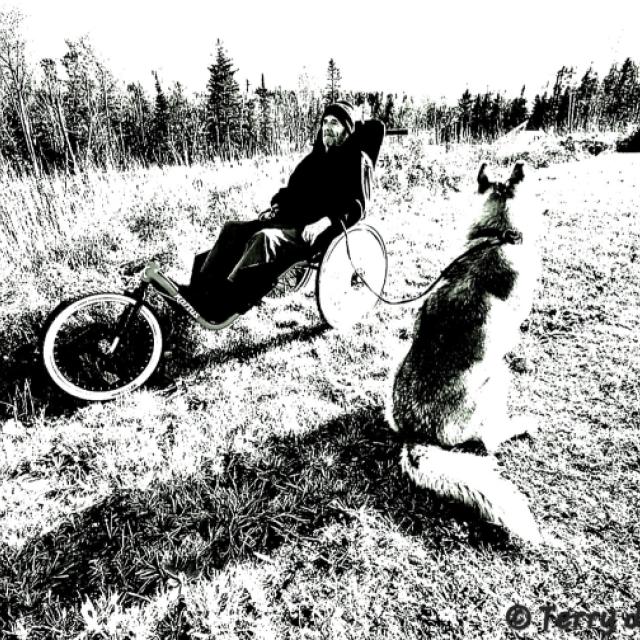 © Terry d'Azur © Terry W. Gravel