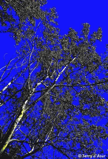 messenger_creation_1ef6b7fb-79bb-4722-9fd1-5fa24fa4cf7f.jpeg