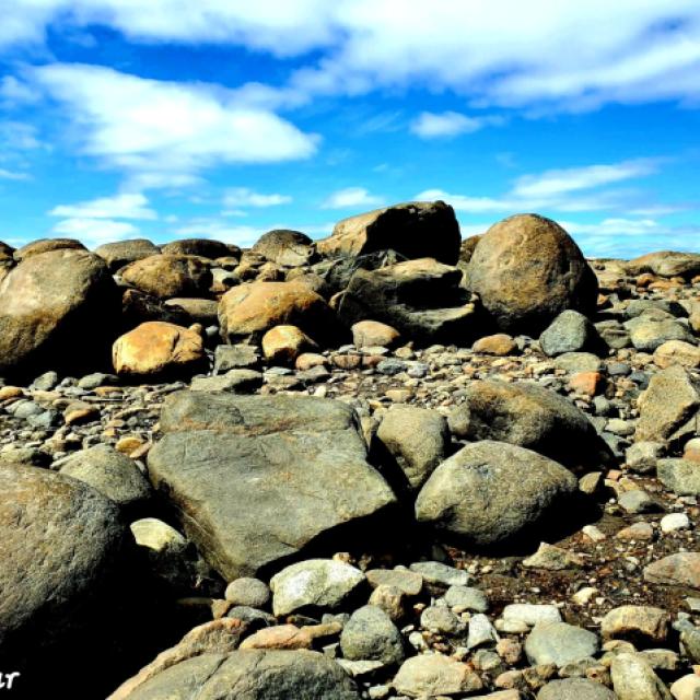 © T. d'Azur © Terry W. Gravel