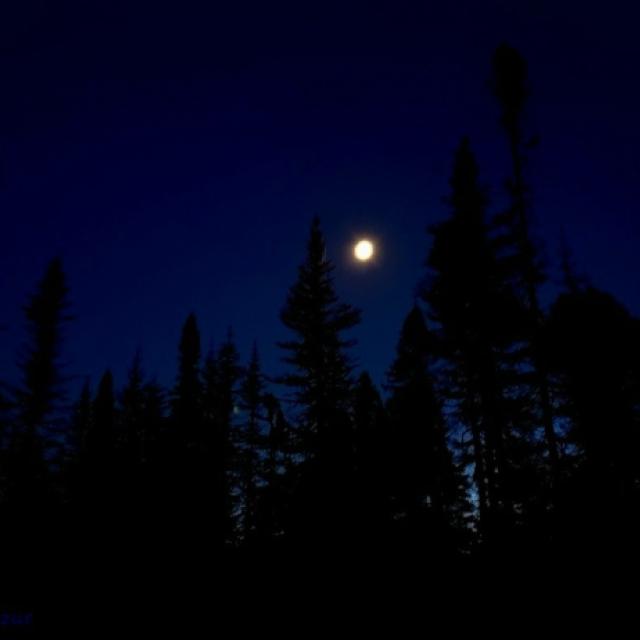 20260921_214537.jpg