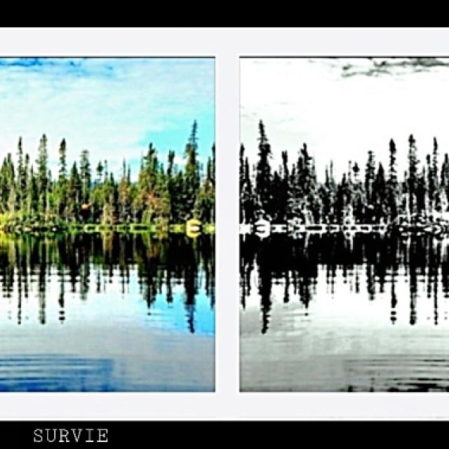© Terry d'Azur © Terry W. Gravel