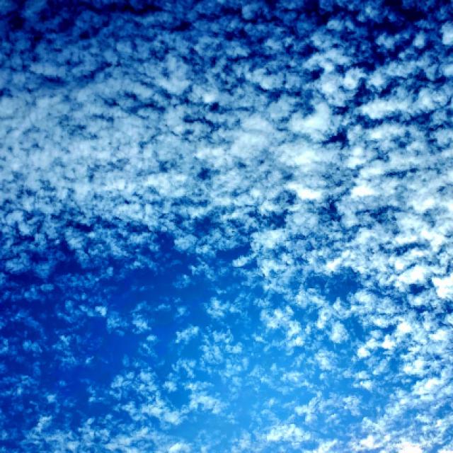 20250616_225621.jpg