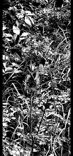 screenshot_20260913-223302_gallery.jpg