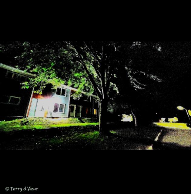 © Terry d'Azur © Terry W. Gravel