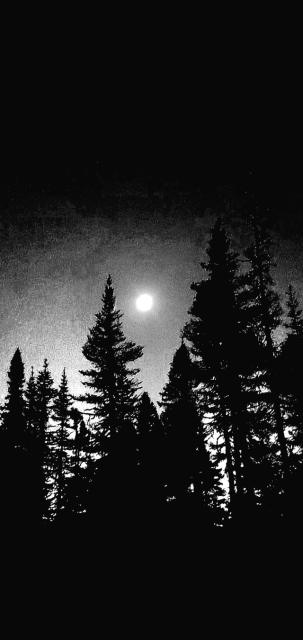 20260924_141744.jpg