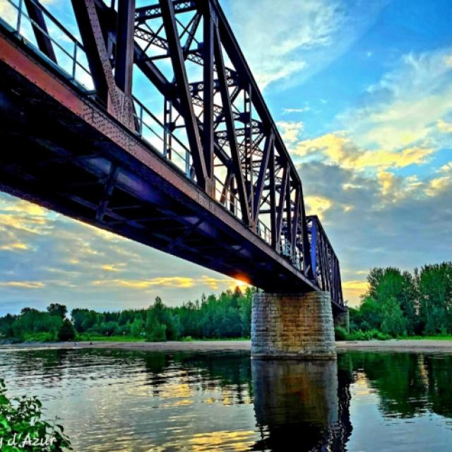 20261009_000023.jpg