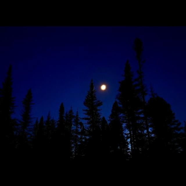 20260921_215406.jpg