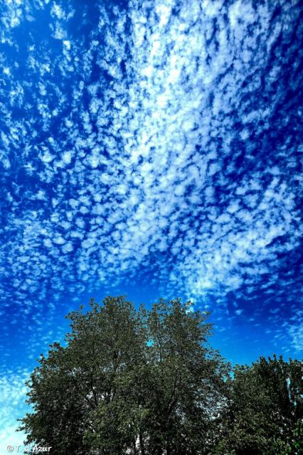20260613_194923.jpg