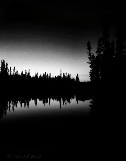 © Terry d'Azur © Terry W. Gravel