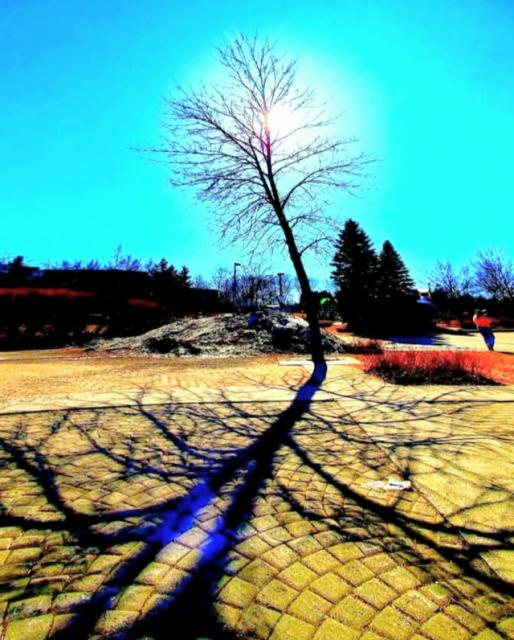 © Terry d'Azur © Terry W. Gravel