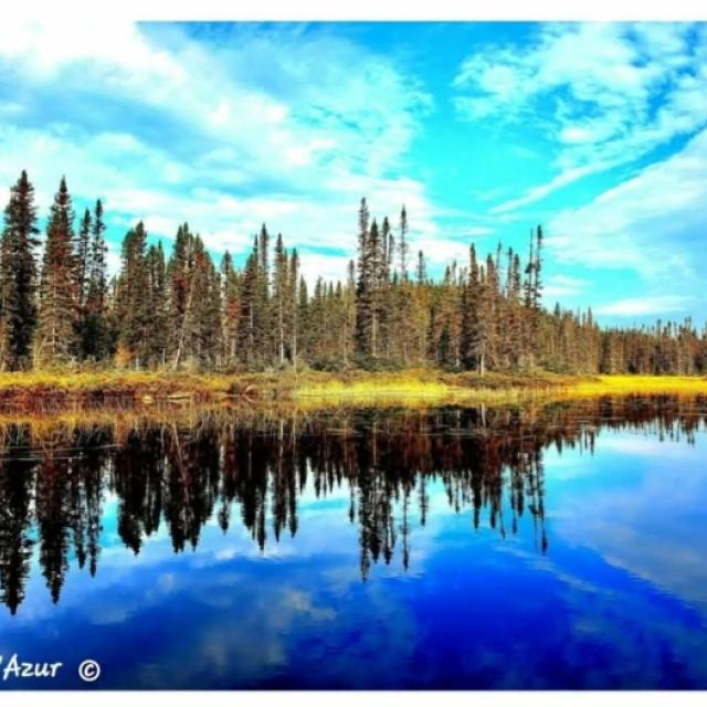 © Terry d'Azur © Terry W. Gravel