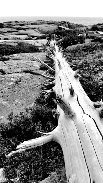 20260621_213316.jpg