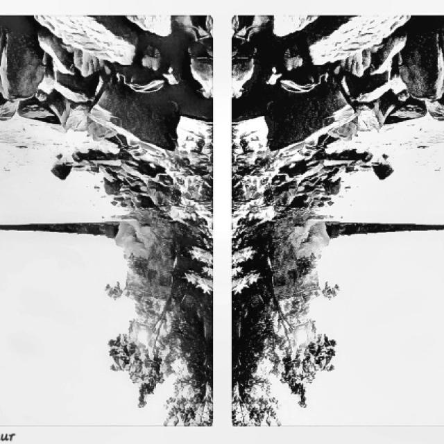 20260909_124424.jpg