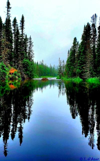 © Terry d'Azur © Terry W. Gravel