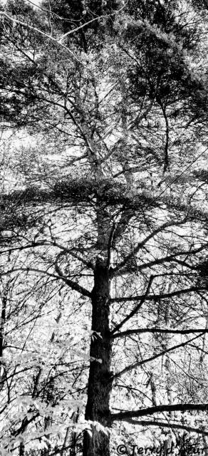 20261005_194155.jpg