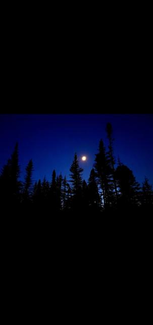 screenshot_20260921-220412_gallery.jpg