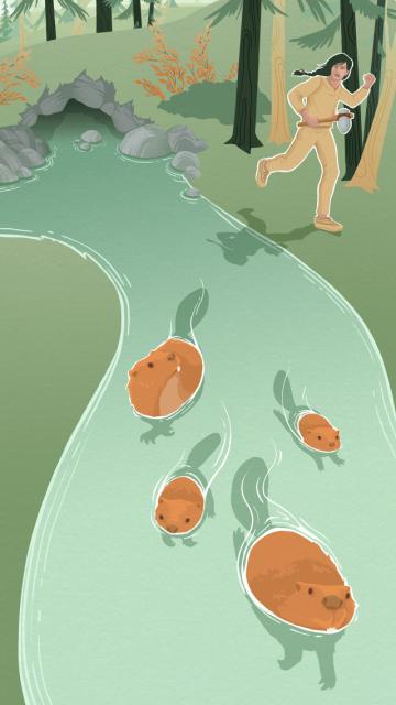 la légende du castor géant - illustration 18