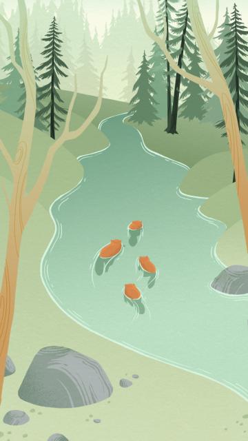la légende du castor géant - illustration 19