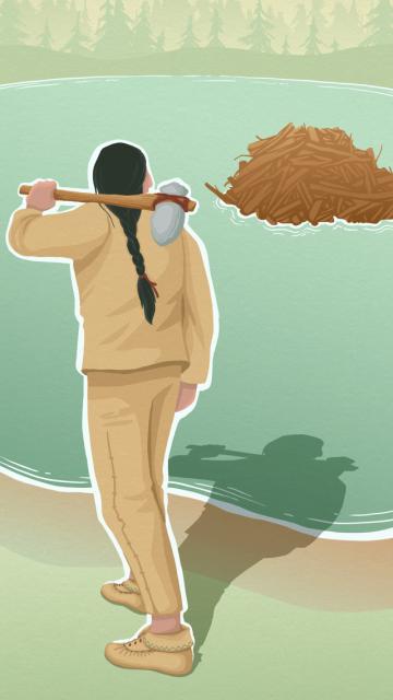 la légende du castor géant - illustration 10